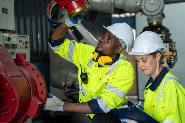 Maintenance Strategy, Reliability and Asset Optimisation